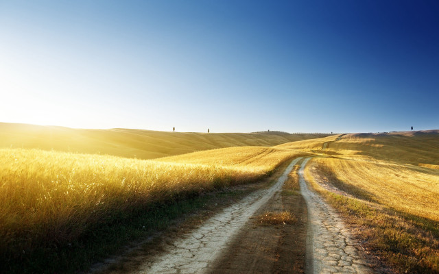Dirt road field bright sun free wallpaper for desktop - medium preview image