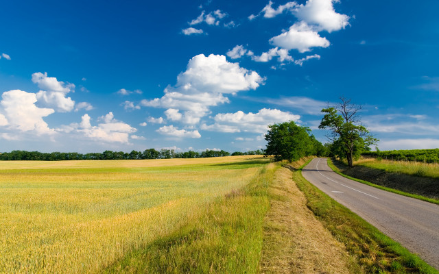 Road field sky clouds tree free wallpaper for desktop - medium preview image