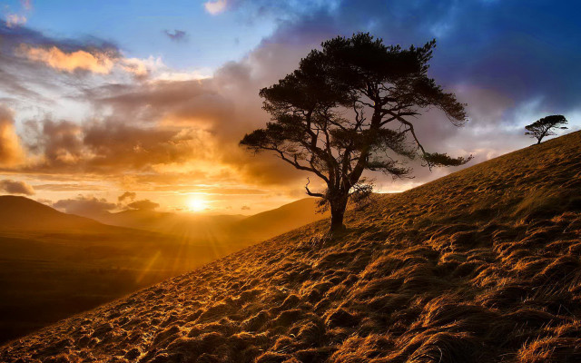 Hill sunset tree clouds landscape #2 free wallpaper for desktop - medium preview image