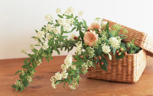 Basket flowers wooden table white free wallpaper for desktop - medium preview image