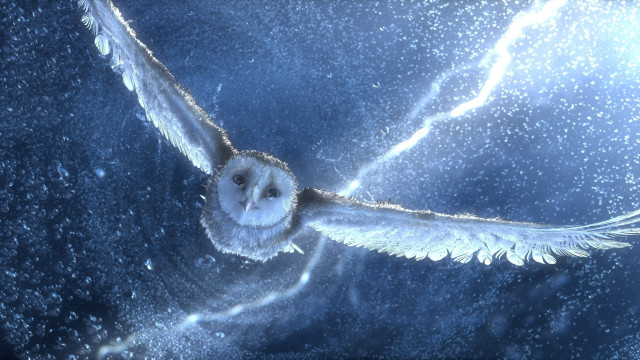 Owl flying wings open bright free wallpaper for desktop - medium preview image