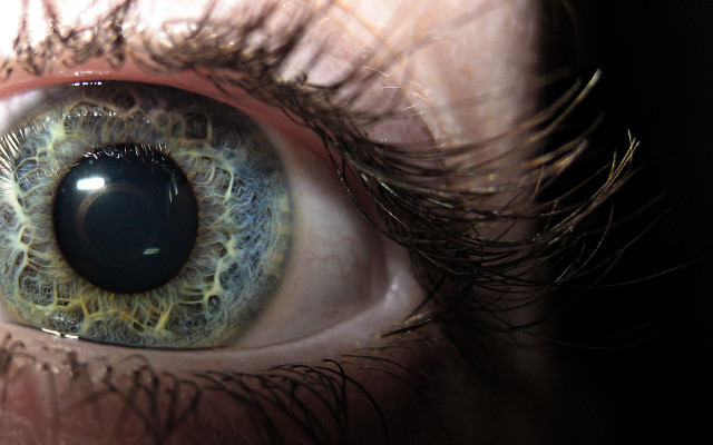 Eye blue iris yellow streaks free wallpaper for desktop - medium preview image