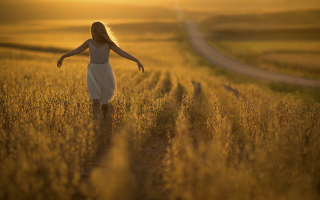 Woman white dress field sunset #4 free wallpaper for desktop - medium preview image