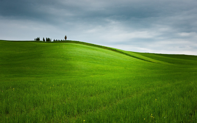 Green field lone tree cloudy #3 free wallpaper for desktop - medium preview image