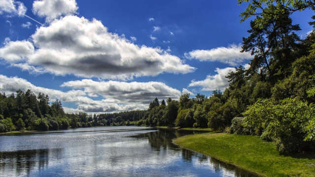 Lake forest shore cloudy sky free wallpaper for desktop - medium preview image