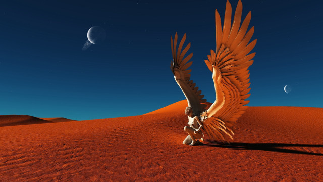 Bird desert crescent moon night free wallpaper for desktop - medium preview image