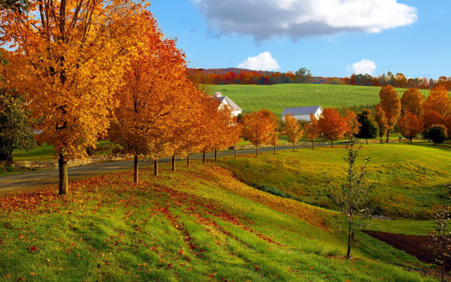 Scenic farm road autumn leaves free wallpaper for desktop - medium preview image