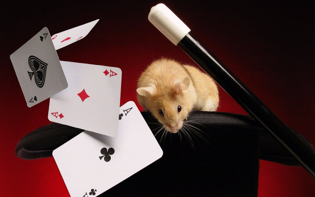Mouse chair playingcards pen envelop free wallpaper for desktop - medium preview image