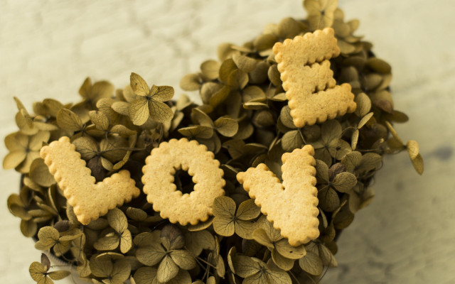 Plant cookies love leaves flower free wallpaper for desktop - medium preview image