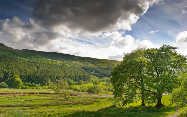 Green field tree mountain clouds #2 free wallpaper for desktop - medium preview image
