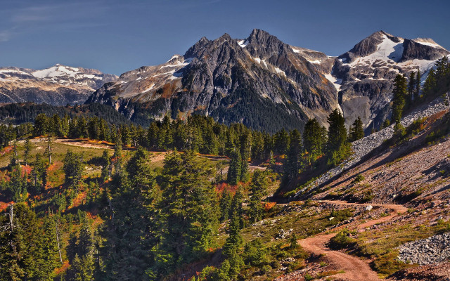 Mountain dirt road trees snow free wallpaper for desktop - medium preview image