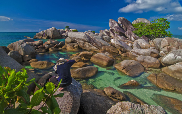 Ocean rocks trees sumatraism puzzle free wallpaper for desktop - medium preview image