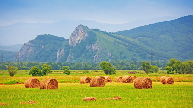 Hay bales mountain green field free wallpaper for desktop - medium preview image