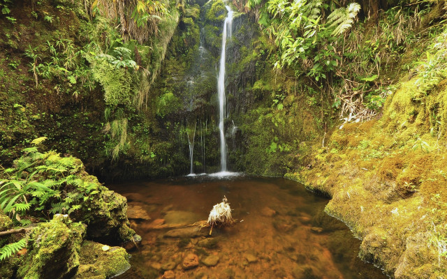 Jungle waterfall man horse ecological free wallpaper for desktop - medium preview image