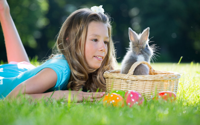 Girl basket bunny dandelion fireflies free wallpaper for desktop - medium preview image