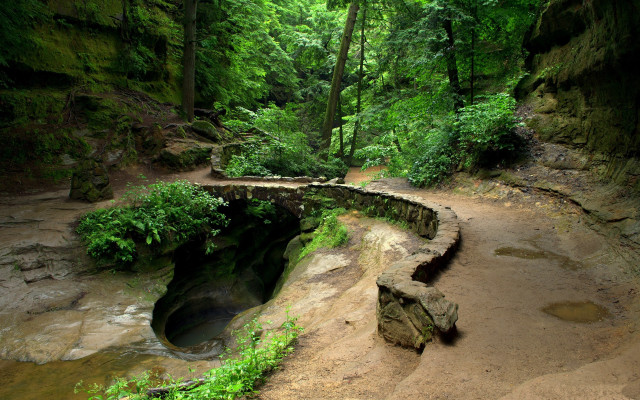 Small bridge creek forest bench free wallpaper for desktop - medium preview image