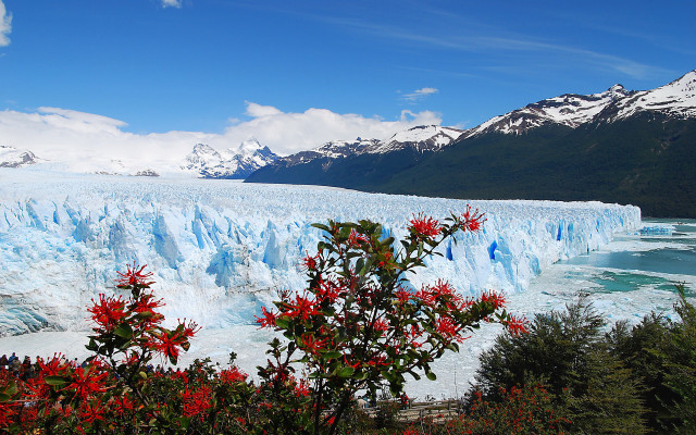 Glacier blue glacier flowers mountains free wallpaper for desktop - medium preview image