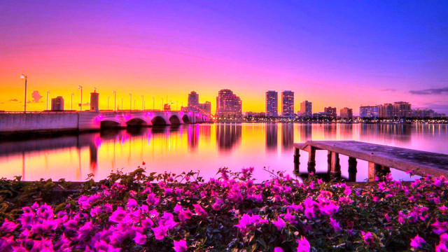 Sunset city lake flowers bridge free wallpaper for desktop - medium preview image