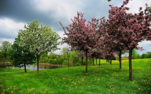 Impressionist nature lake flowers trees free wallpaper for desktop - medium preview image