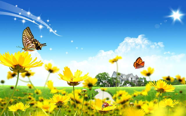 Yellow field butterfly house blue free wallpaper for desktop - medium preview image