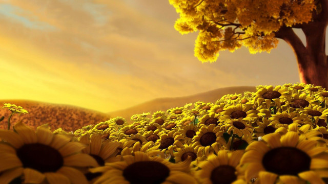 Sunflower field tree sunset clouds #3 free wallpaper for desktop - medium preview image