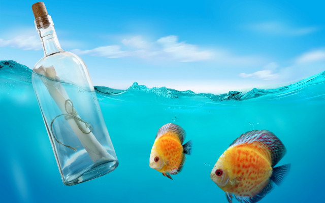 Bottle fish surrealism storybook ocean free wallpaper for desktop - medium preview image