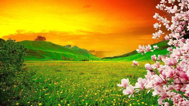 Sunset flower field mountains green free wallpaper for desktop - medium preview image