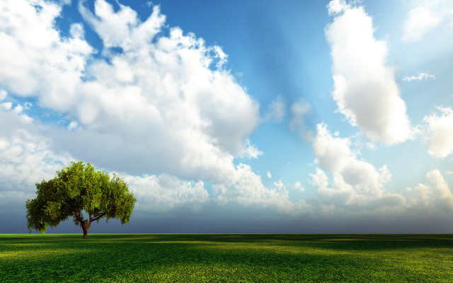 Lone tree green field cloudy #5 free wallpaper for desktop - medium preview image
