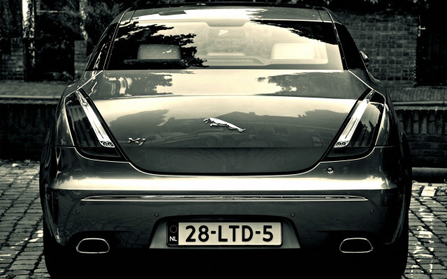 Car brick road tree fence free wallpaper for desktop - medium preview image