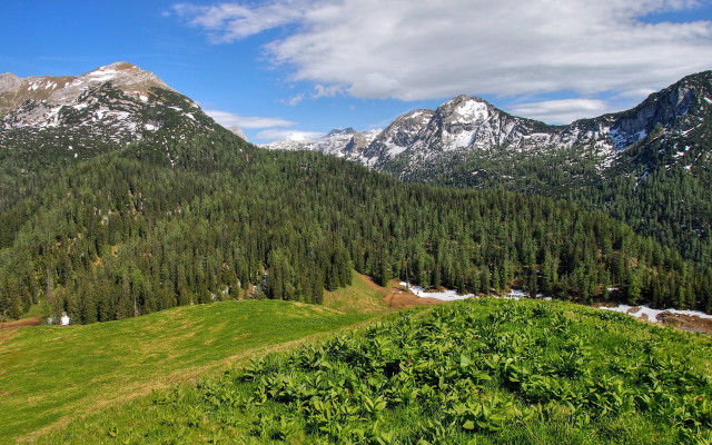 Grassy field mountain snow panoramic free wallpaper for desktop - medium preview image