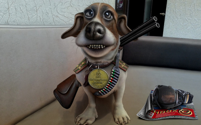 Dog gun medal table chips free wallpaper for desktop - medium preview image