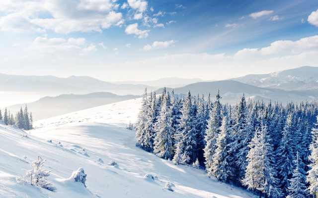 Snowy mountain trees blue sky #5 free wallpaper for desktop - medium preview image
