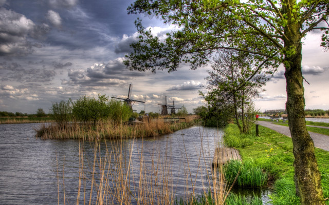 River windmill road tree ecological free wallpaper for desktop - medium preview image