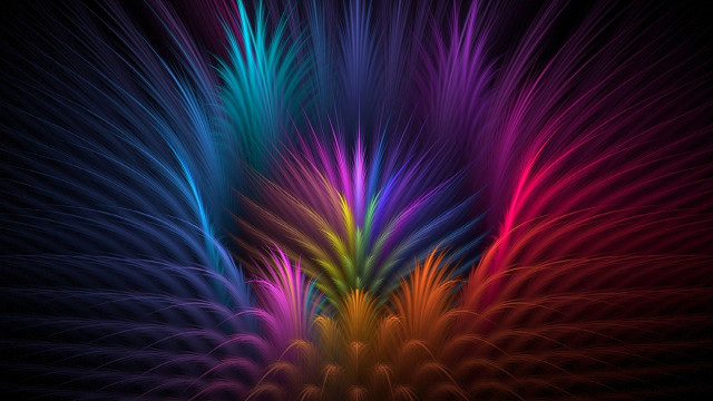 Mystical colorful fireworks flower night free wallpaper for desktop - medium preview image