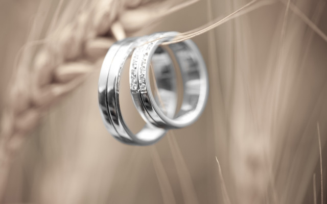 Wedding rings wheat sepia photorealism free wallpaper for desktop - medium preview image