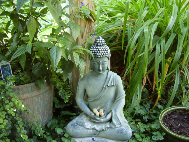 Buddha statue garden plants potted free wallpaper for desktop - medium preview image