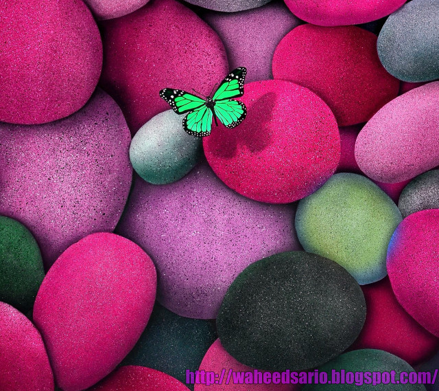 Green butterfly pile rocks pink free wallpaper for tablet - medium preview image