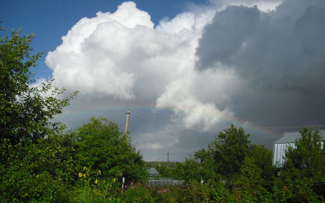 Rainbow trees bushes building stormy free wallpaper for desktop - medium preview image