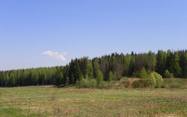 Field forest sky bush house free wallpaper for desktop - medium preview image