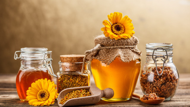 Honey sunflower oil table flower free wallpaper for desktop - medium preview image