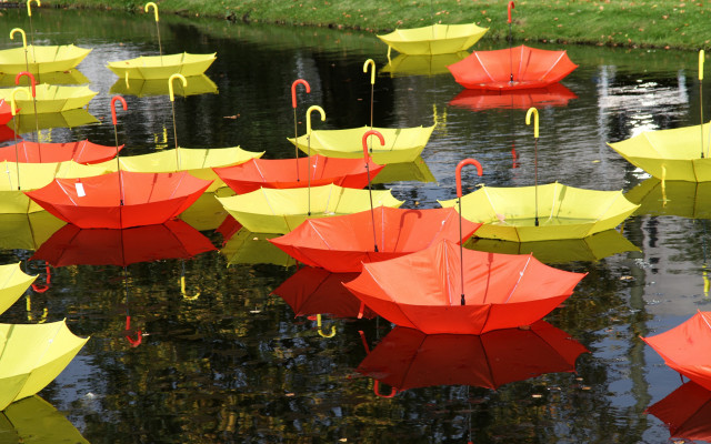 Floating umbrellas water green grass free wallpaper for desktop - medium preview image