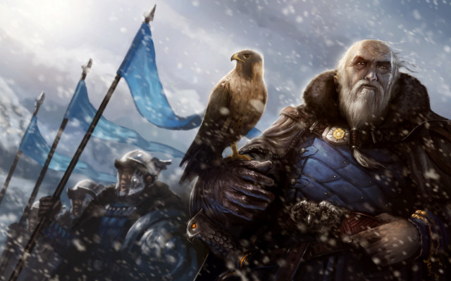 Bearded man bird outdoors snow free wallpaper for desktop - medium preview image