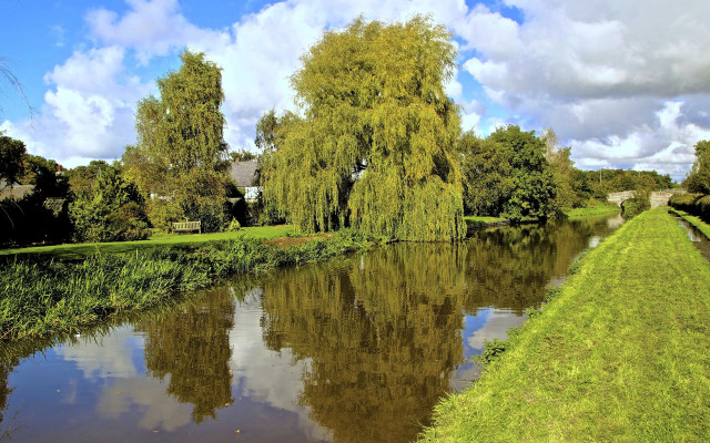 River trees grassy bank house free wallpaper for desktop - medium preview image