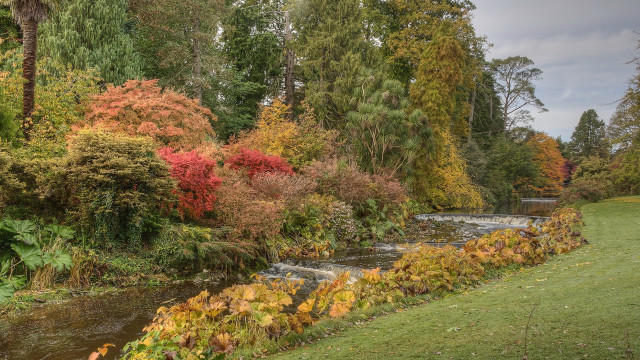Autumn forest river nature puzzle free wallpaper for desktop - medium preview image