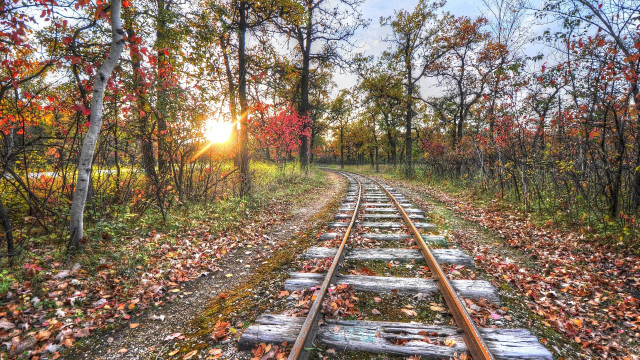 Train track sunset autumn leaves free wallpaper for desktop - medium preview image