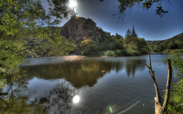 Lake mountain trees sun birds free wallpaper for desktop - medium preview image