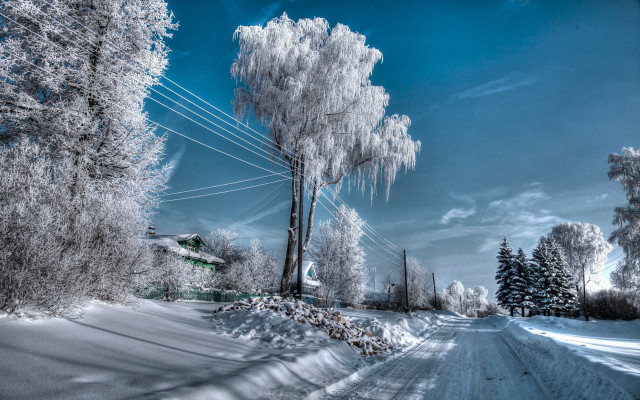 Snowy road telephone pole bare free wallpaper for desktop - medium preview image