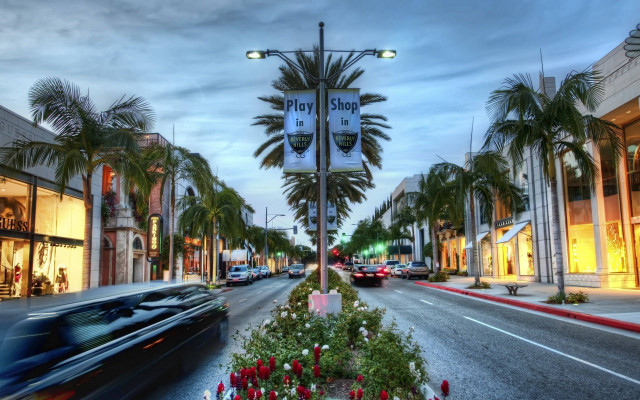 Palm trees street key blvd free wallpaper for desktop - medium preview image