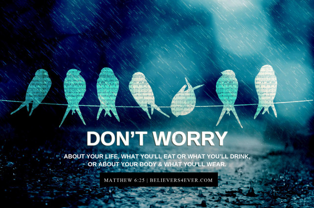 Birds wire worry rainy day free wallpaper for desktop - medium preview image