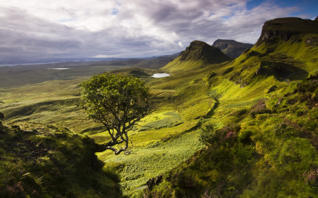 Tree grassy valley mountains lake #2 free wallpaper for desktop - medium preview image